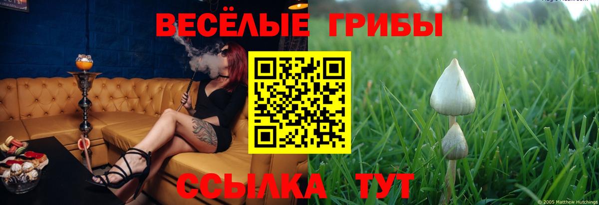 Галлюциногенные грибы мухоморы Обнинск